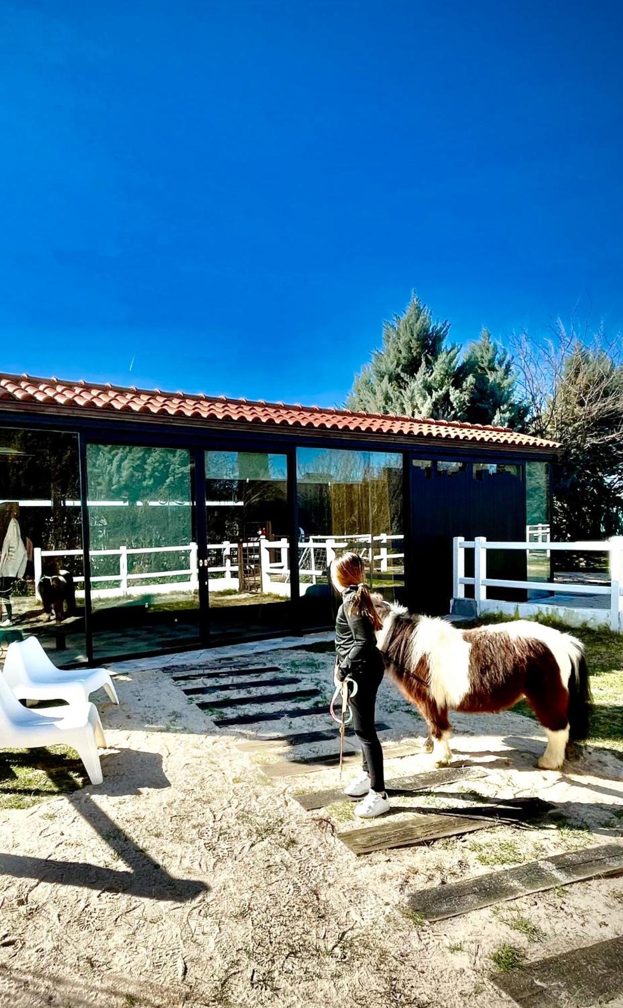 Hearts & Ponies Apartamentos Con Piscinas Privadas Cerca De La Warner Chinchón Extérieur photo